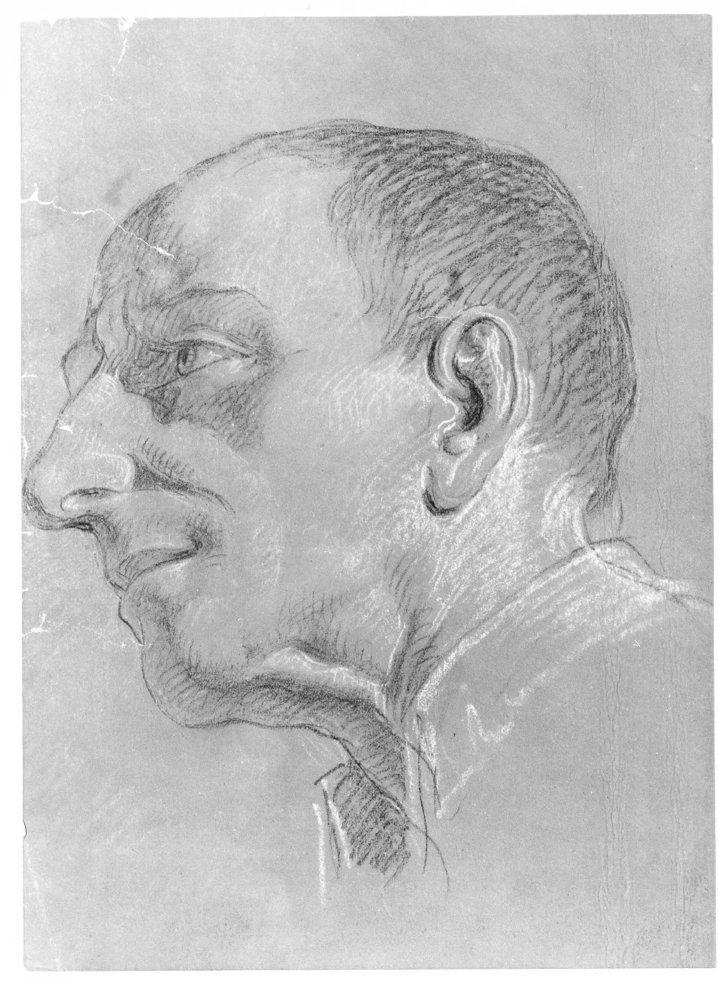 Testa d'uomo di profilo - Museo Civico di Castelvecchio, Verona 2